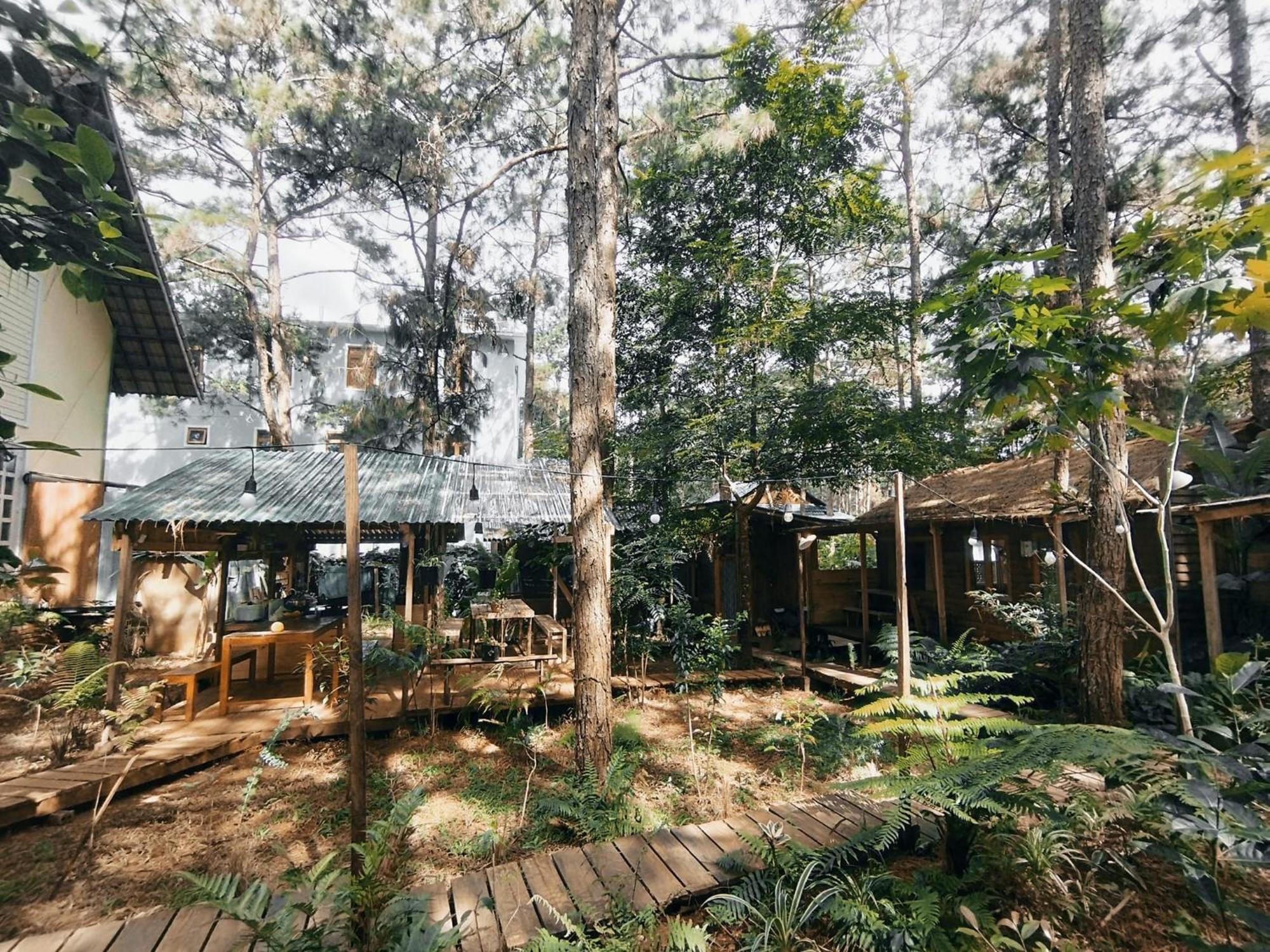 La Maison Homestay Mang Den Tỉnh Kontum Екстериор снимка