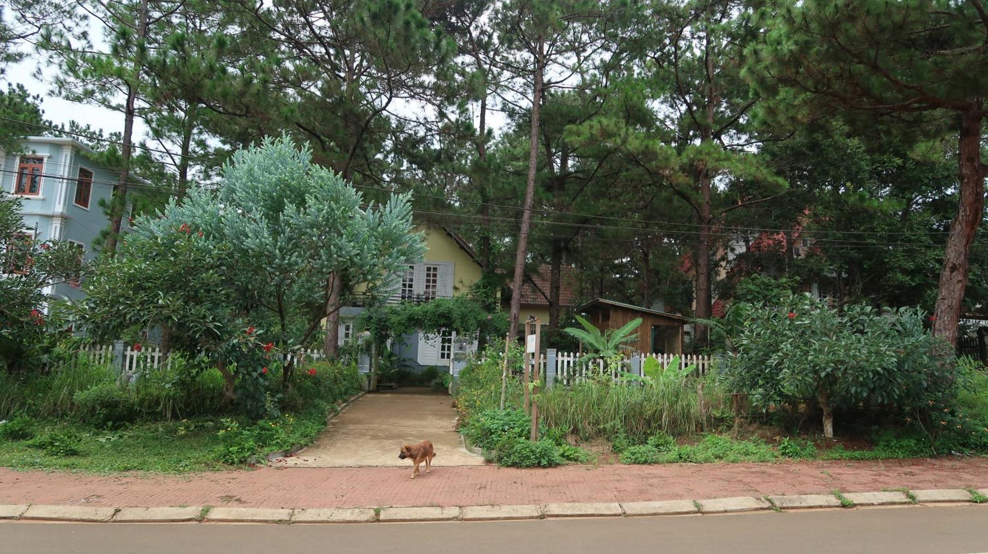 La Maison Homestay Mang Den Tỉnh Kontum Екстериор снимка