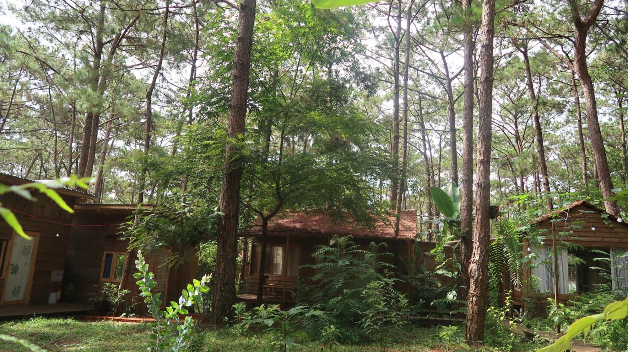 La Maison Homestay Mang Den Tỉnh Kontum Екстериор снимка