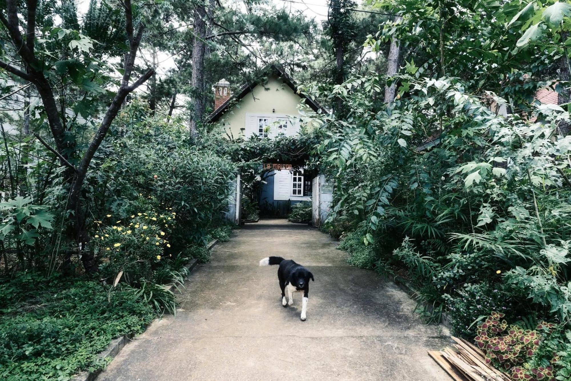 La Maison Homestay Mang Den Tỉnh Kontum Екстериор снимка